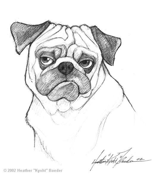 pugsy.jpg