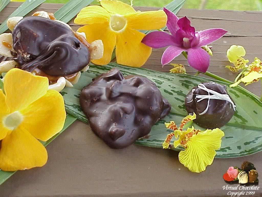 tropicalchoc1024.jpg