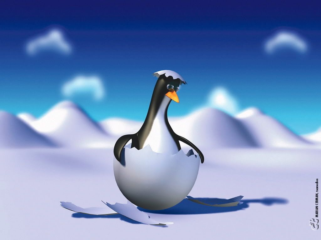 wallpapers_cool-1115.jpg