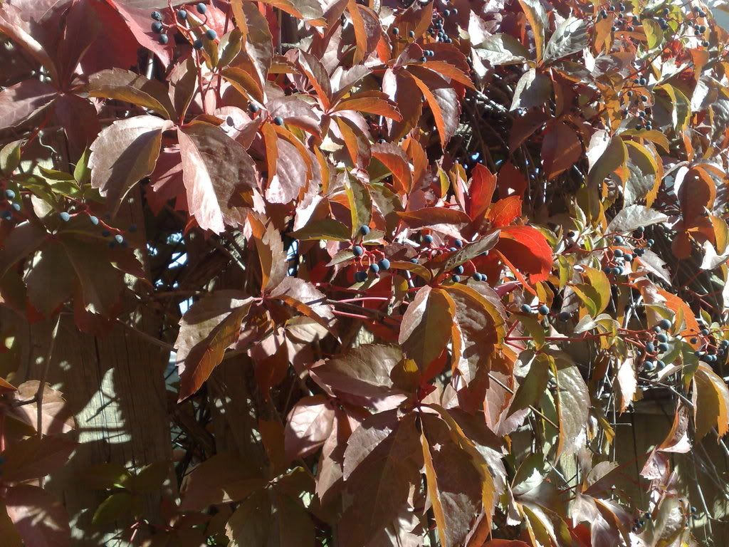 121020081397.jpg