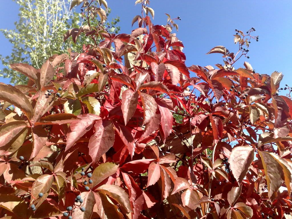 121020081398.jpg