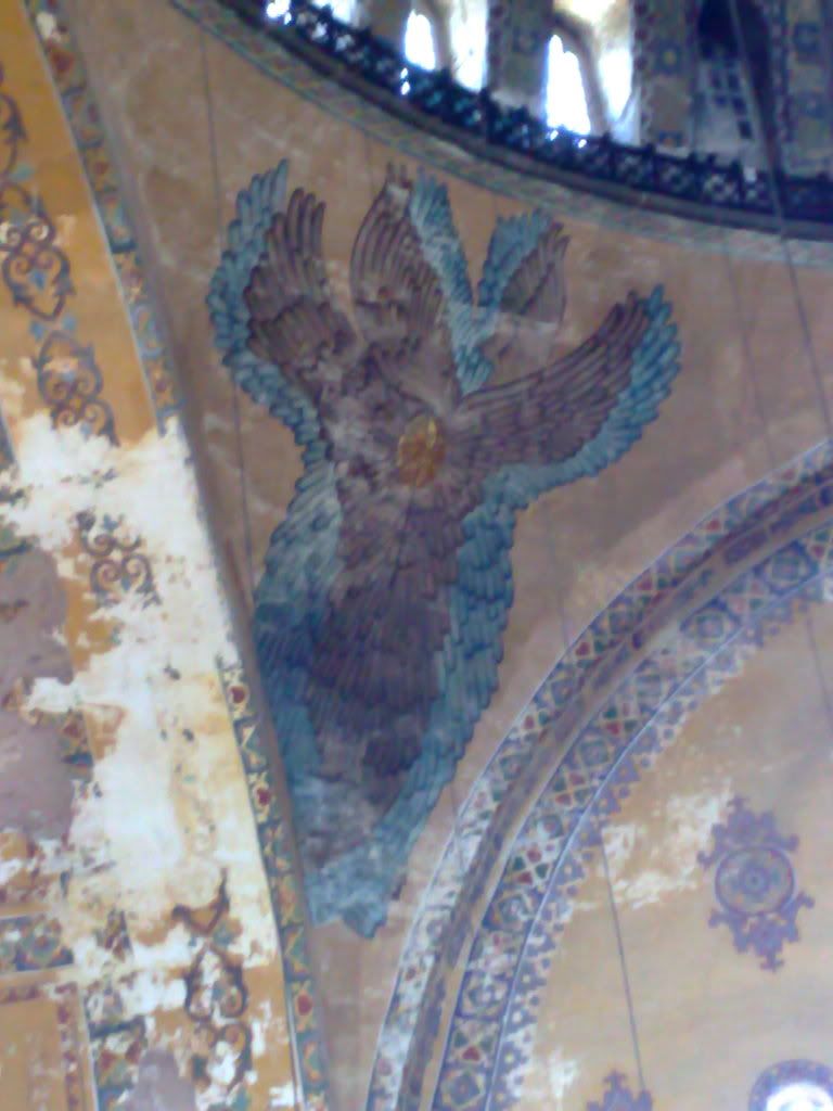30072008786.jpg