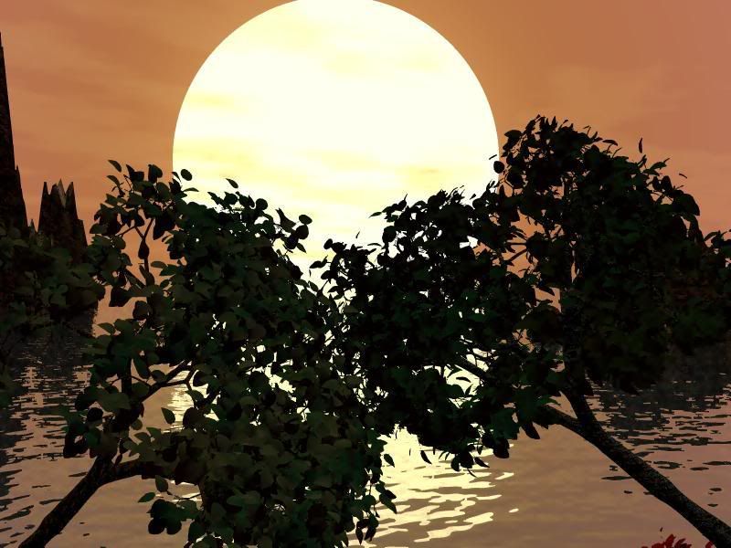 3D_135.jpg