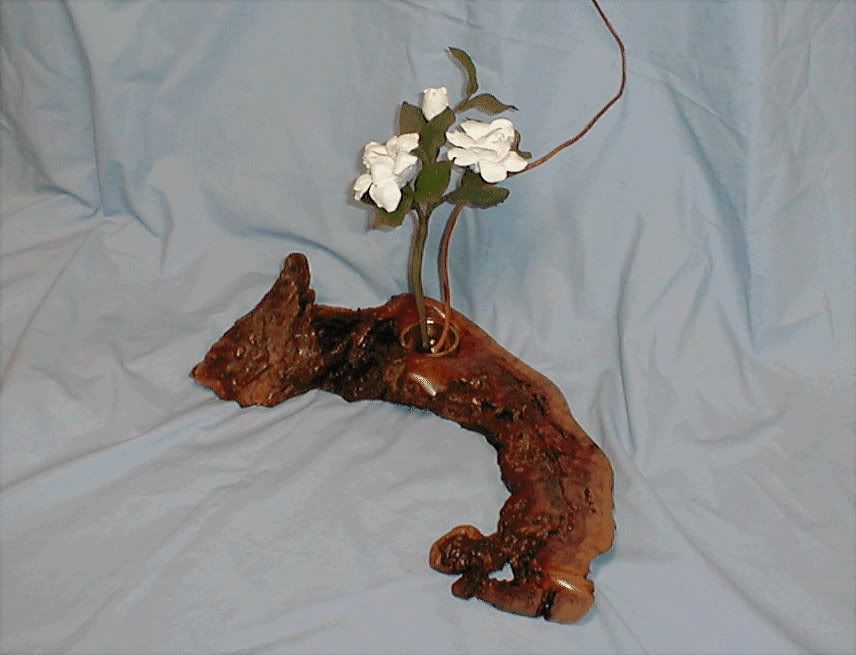 Eucalyptmallee.jpg