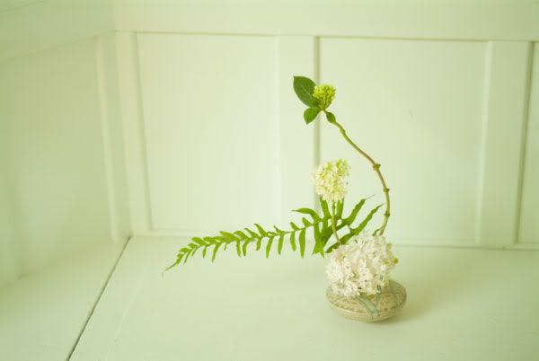 Ikebana_023_opener.jpg