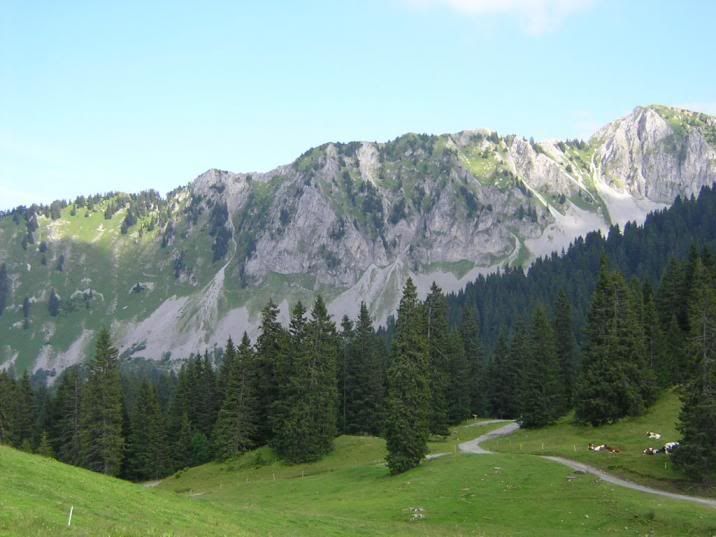 image12.jpg