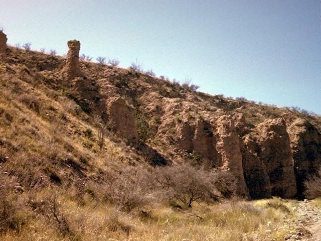 image7.jpg