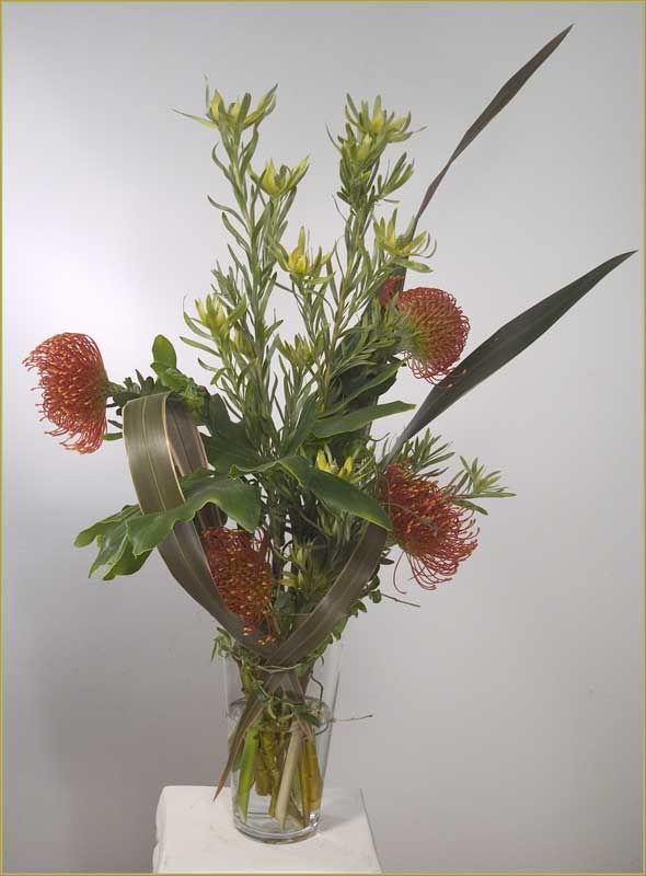 protea-leucadendron-DSCN13.jpg