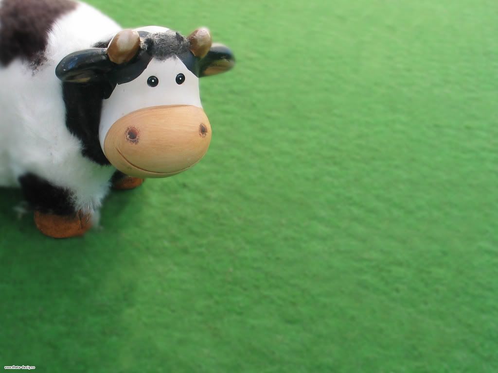 3481FuryCow_1200.jpg