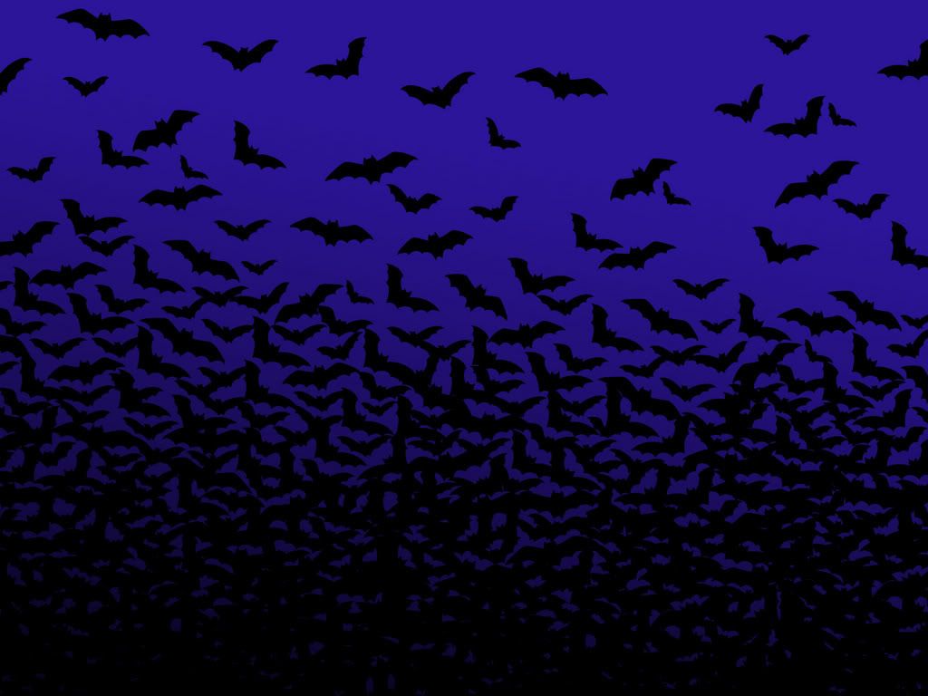 9249BatsAreGood_1600.jpg