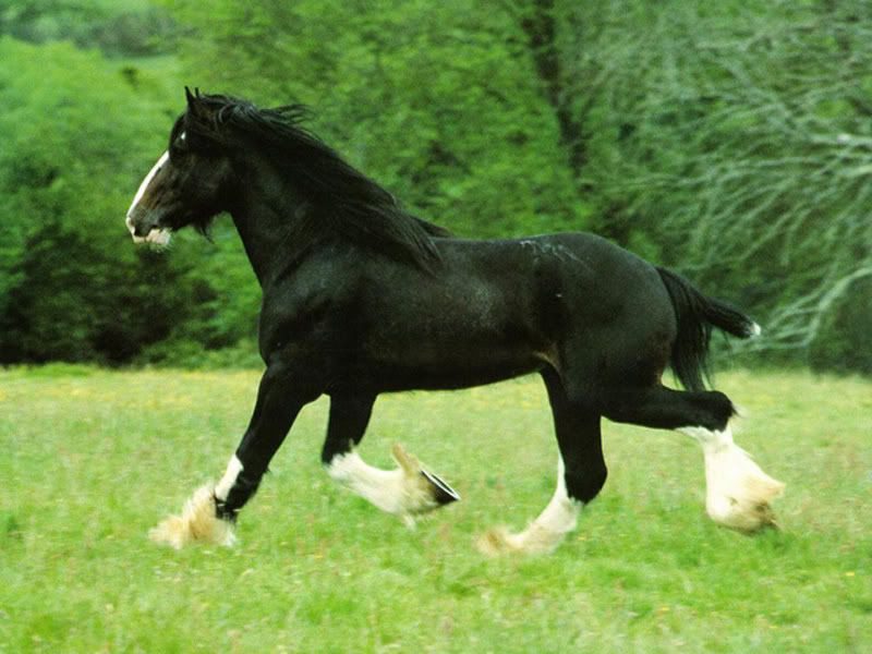 at4.jpg
