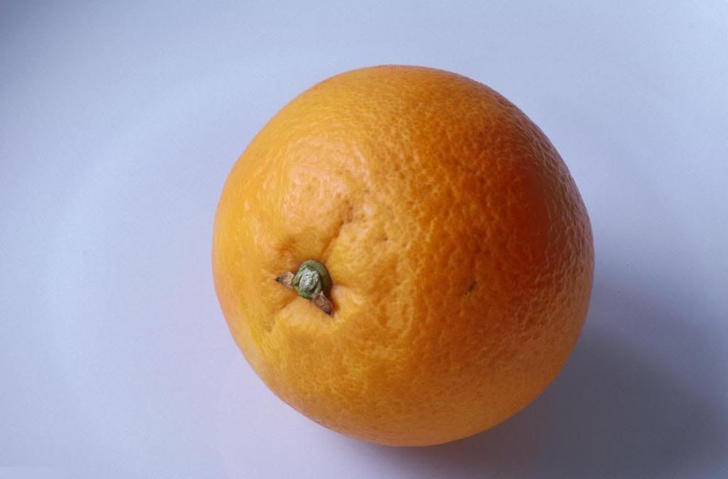 fruit08-814880-buyuk.jpg