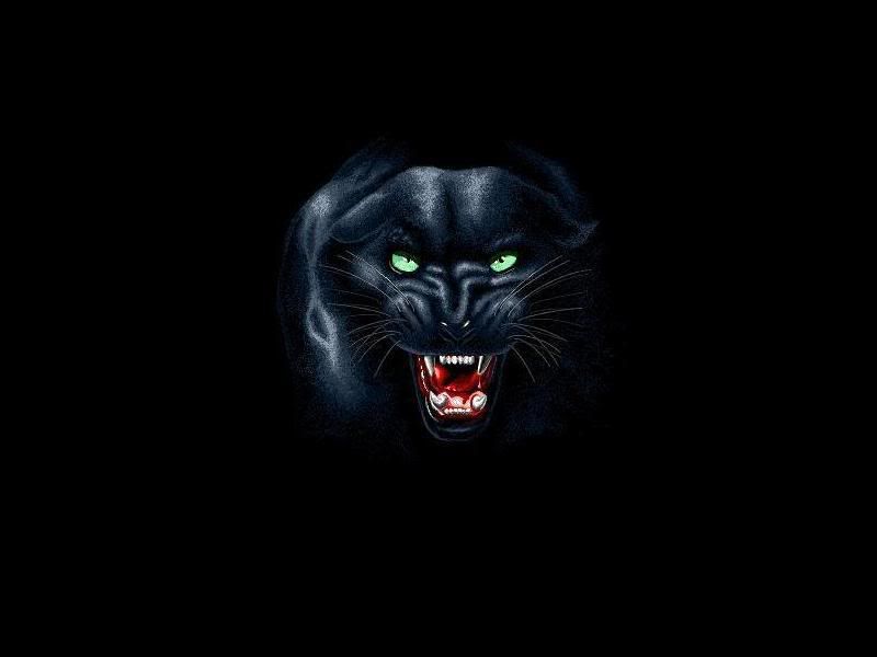 panter.jpg
