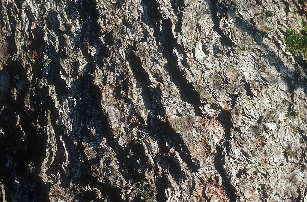 texture014-115600-buyuk.jpg