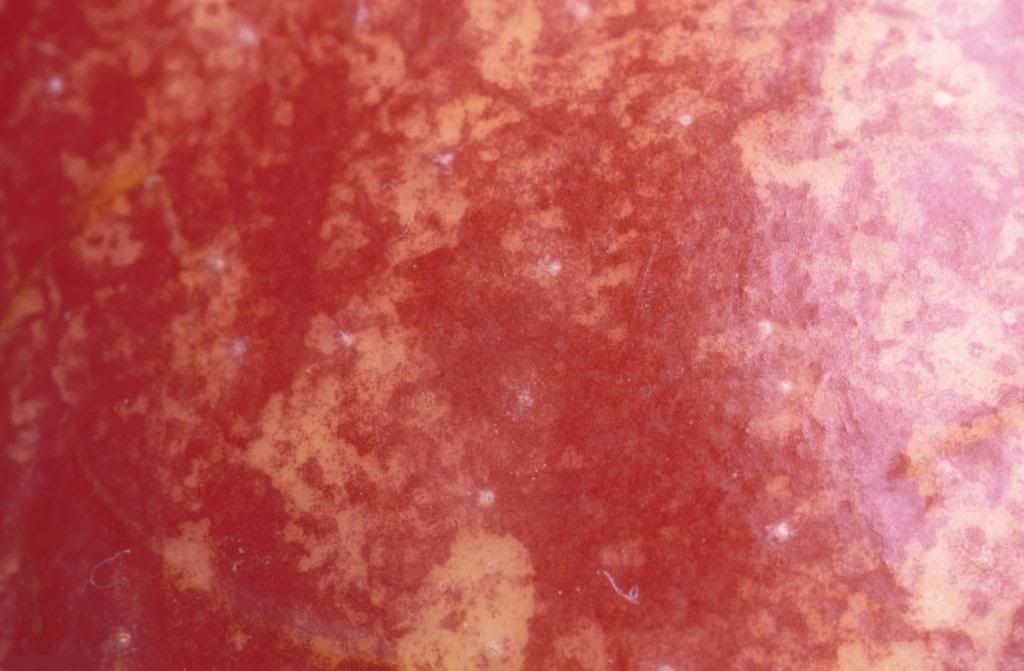 texture05-937185-buyuk.jpg