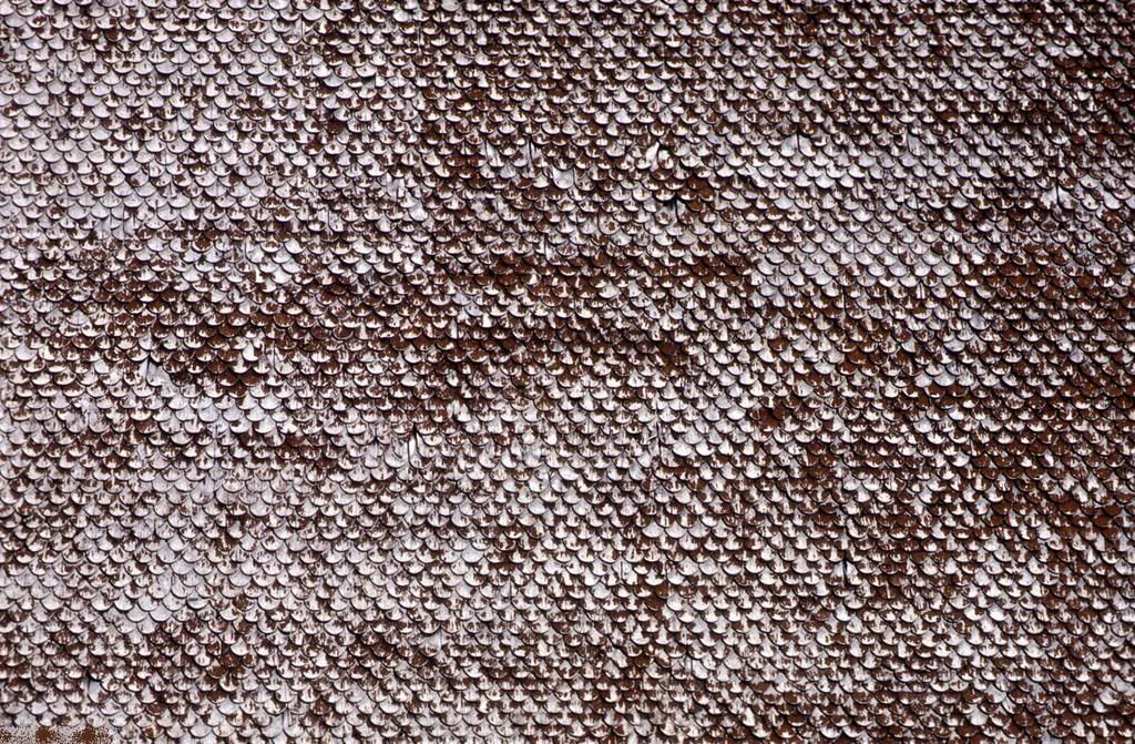 texturek89ui-204727-buyuk.jpg