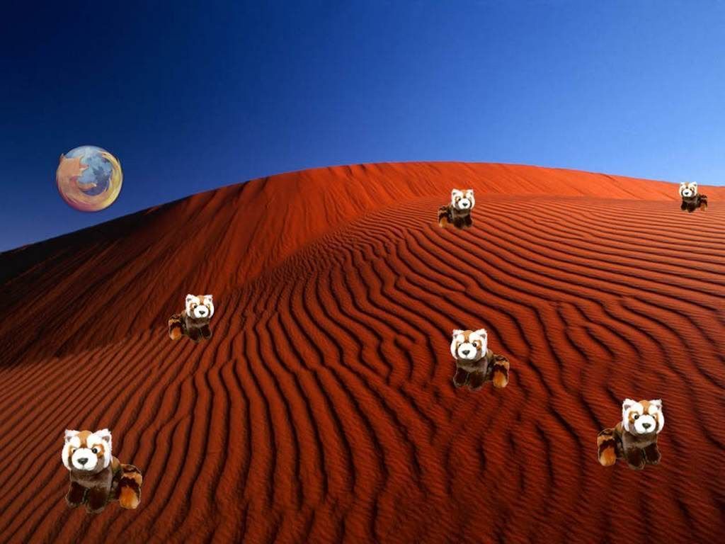 wall_ff_56.jpg