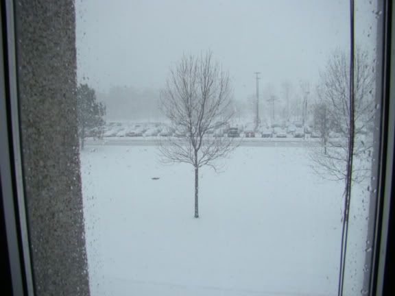 DSC00038.jpg
