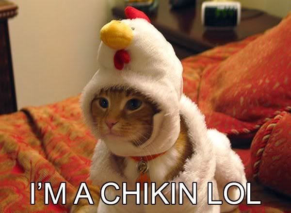 Chicken coop.... - The Club House