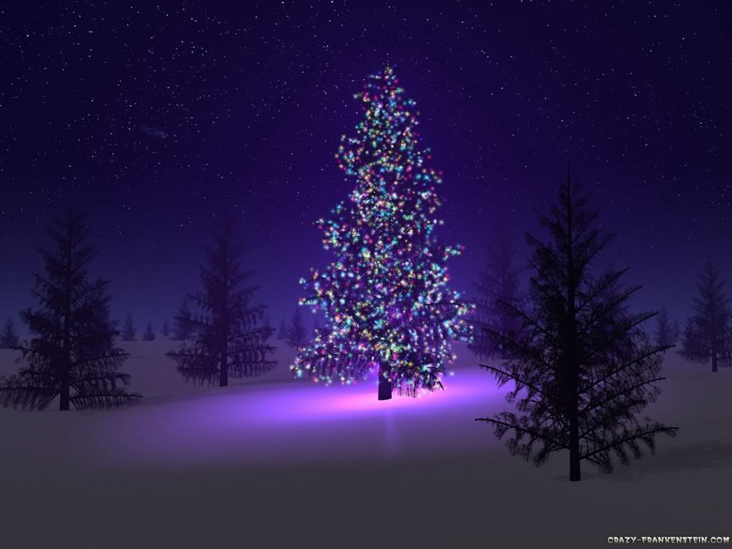 beautiful-christmas-tree.jpg picture by romantik1109