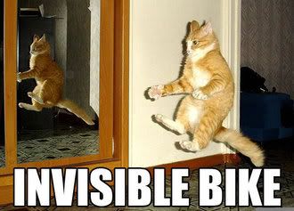 InvisibleBikeCat.jpg