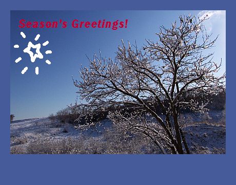 SeasonsGreetings