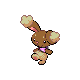 bunny