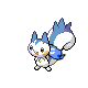 pachi