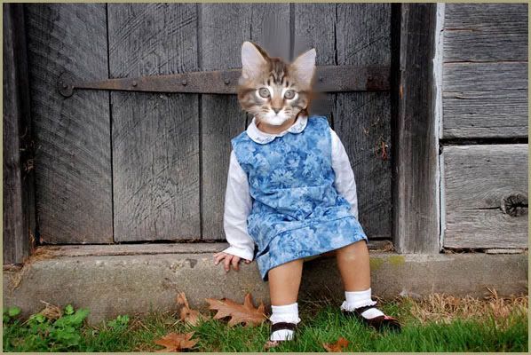 elizabeth katz brownsville tx