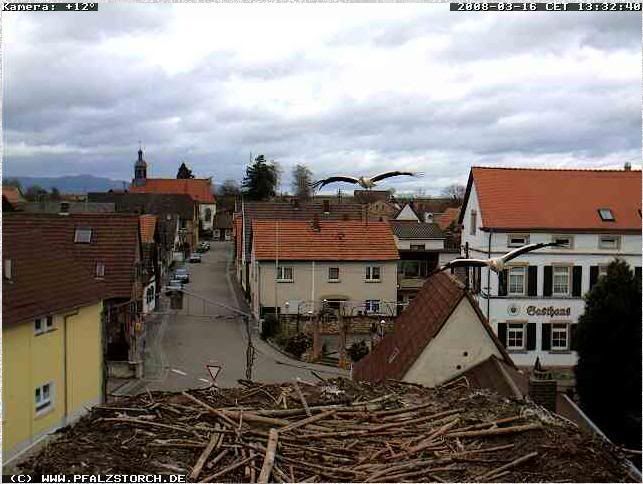 Bild