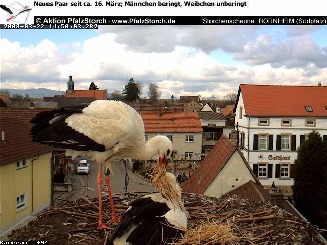 Bild