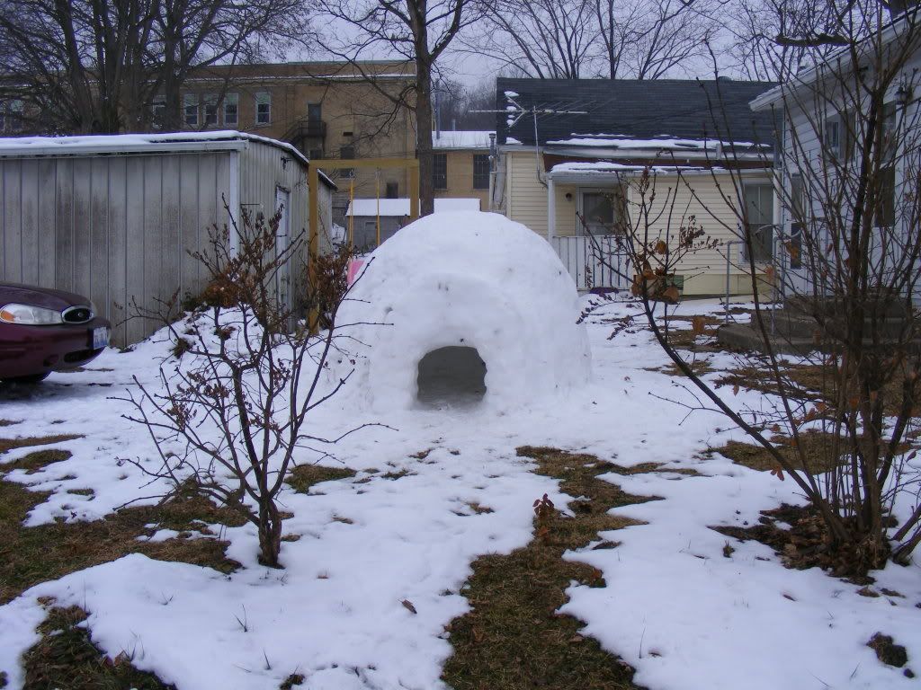 2010_1231igloo0061.jpg