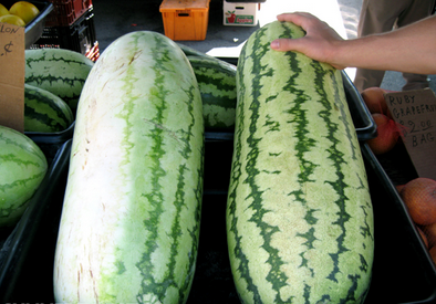 Melons.png