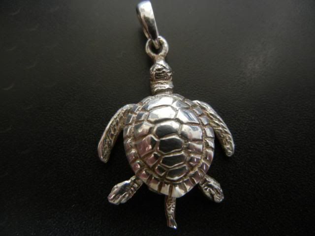 925Turtle013_zpsd221a7f2.jpg