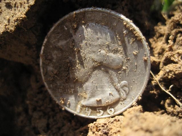ATProSilverCoins006_zps739504f0.jpg