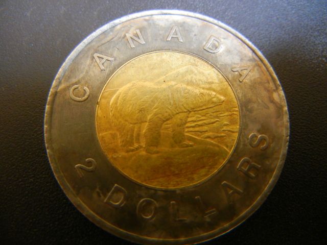 Canadian2Coin002.jpg