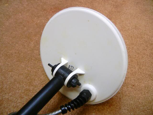 Compadre008_zpsc2110665.jpg