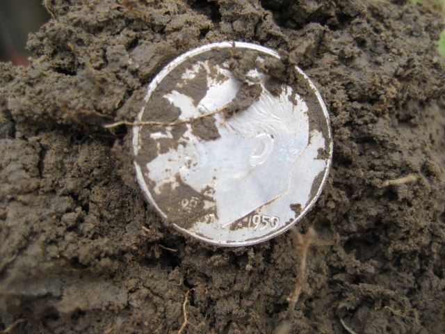 F75-DST%205%20Silver%20Coins%20004_zpszibrgsj5.jpg