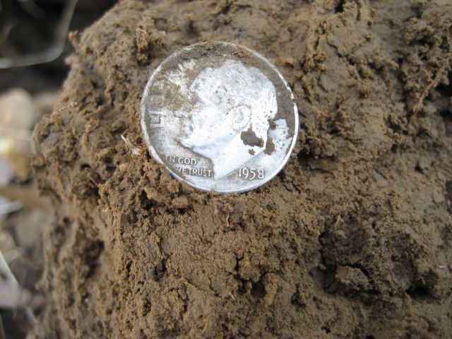 F75-DST%205%20Silver%20Coins%20007_zpsm2y5m4qz.jpg