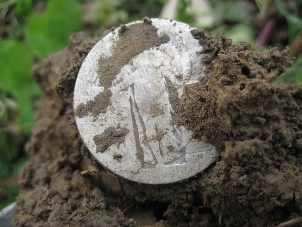 F75SE3SilverCoins018_zps39495282.jpg