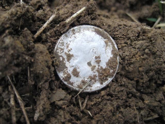 F75SE7SilverCoins005_zps19908965.jpg