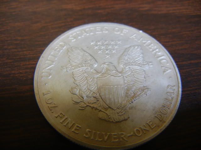 SilverDollar2003016.jpg