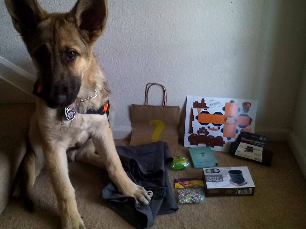 Yep... he got a Bag of Crap!