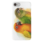 Sun Blue-Crowned Green-Cheeked Conures Realistic Painting Bird Gifts iPhone Case