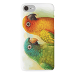 Sun Blue-Crowned Green-Cheeked Conures Realistic Painting Bird Gifts iPhone Case