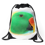 Eclectus Parrot Realistic Painting Drawstring Bag
