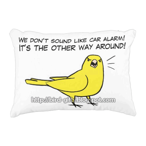 Canary VS Alarm pillow