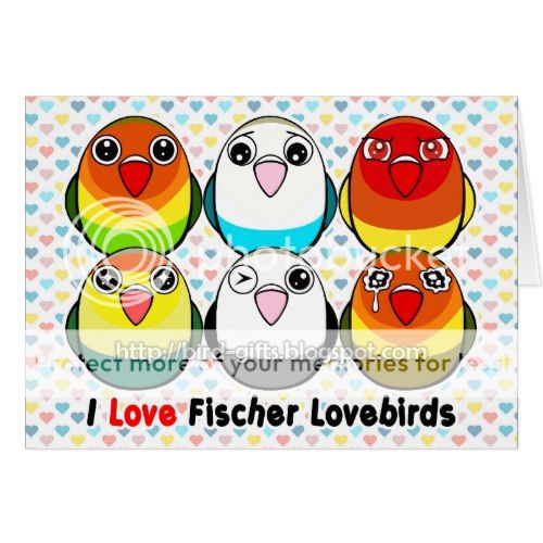 Cute Fischer lovebirds cartoon greeting card