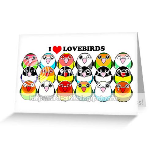 Cute lovebird color mutations cartoon greeting card