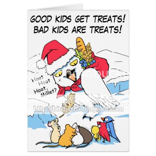 Funny snowy owl santa meme greeting card